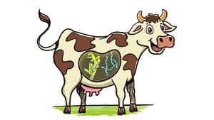 Illustration & Coloring for cartoonbob.com