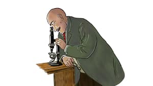 Illustration & Coloring for cartoonbob.com