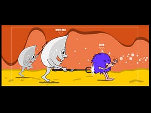 Illustration for a 2D Animation for Awareness