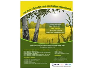 Marketing Flyer Design for DISYS 11