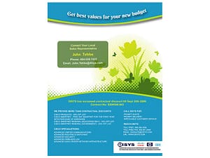 Marketing Flyer Design for DISYS 10