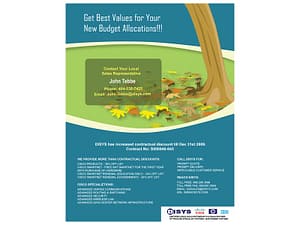 Marketing Flyer Design for DISYS 9