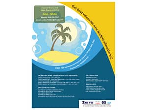 Marketing Flyer Design for DISYS 6